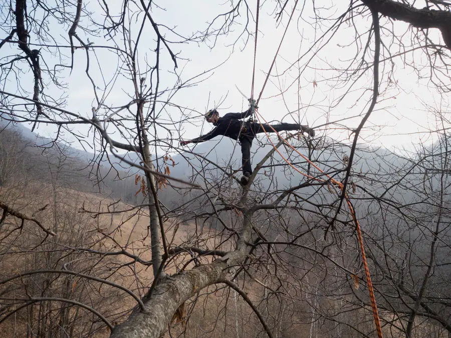 Equilibrio sui rami più alti, sopra la valle